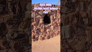 Incredible House of Petrified Wood!...