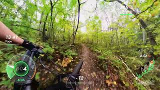 Centennial park trails