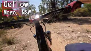 Goflow - Mogo MTB Trails - NSW