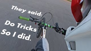 Sep 1, 2018 They said do tricks: So I did one...