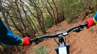 Into The Wild trail #4