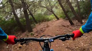 Easy peasy trail #6