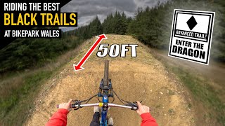 RIDING THE BEST BLACK TRAILS AT BIKE PARK WALES!!