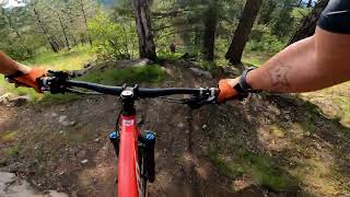 Pine Street Woods - Zen Garden full