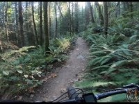 Lilly\Lizard Trail - Blanchard Mountain -...