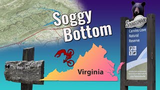 Soggy Bottom