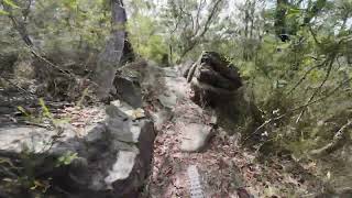 RNP Loftus   Bob Cats | Grinch | Savilles DH MTB