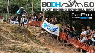 Rock Garden Section Highlight! - Bukit Dinding...