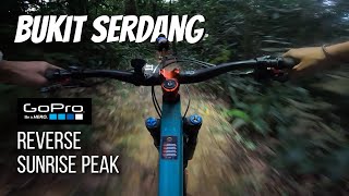 Robin's POV on riding downhill from Sunrise...