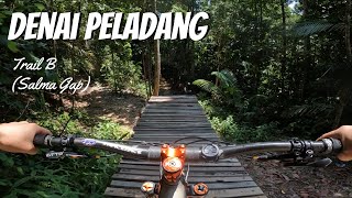 Back at Denai Peladang: Revisiting Trail B...