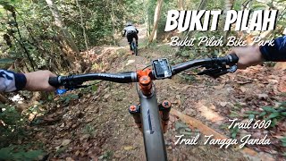 Flowy Trails at Bukit Pilah Bike Park -...