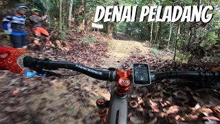 Revisit to Denai Peladang