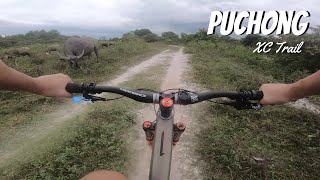 Riding XC Trail with the Santa Cruz Megatower...