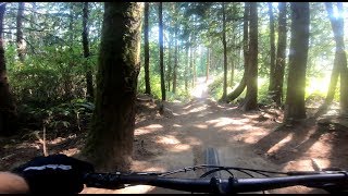 Atomic Dog - Galbraith Mountain - Bellingham, WA