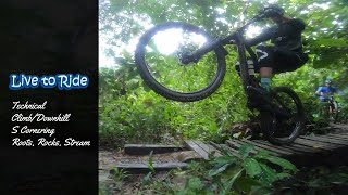 Mountain Biking @ Bukit Kiara | Rooty Climb, S...