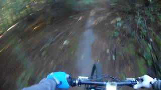 Mountain biking 'Riser Bar' trail in The 'Slinch