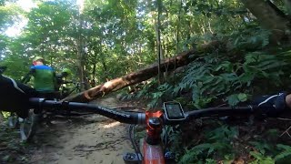 Bukit Kiara - Mountain Biking Trails | Fallen...