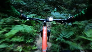 Bukit Kiara - Mountain Biking - Going down...