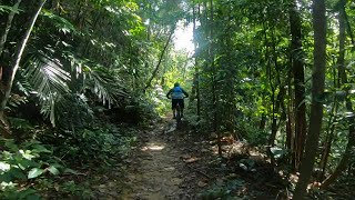 Bukit Kiara - Sidewinder vs Nomad (02-Feb-2020)