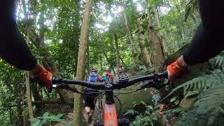 Bukit Kiara - Weekend Mountain Biking