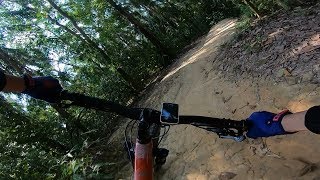 PCP - Trail Red 5