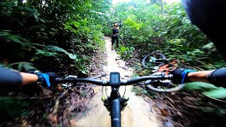 Bukit Kiara - Mountain Biking Trails - TNT -...