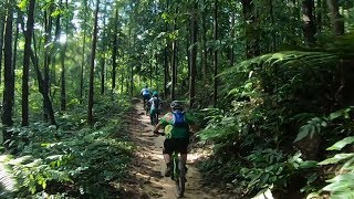 Bukit Kiara - Morning Ride