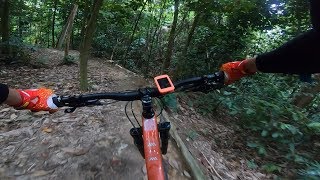 Bukit Kiara - Mountain Biking Trails - Twin...