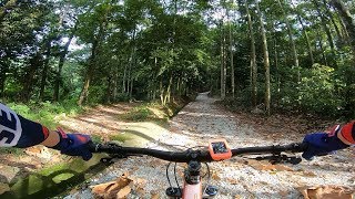 Bukit Kiara - Mountain Biking Trails - Snakes...