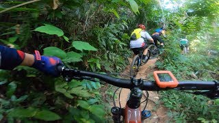 Bukit Kiara - Mountain Biking Trails -...