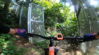 Bukit Kiara - Mountain Biking Trail - Pure...