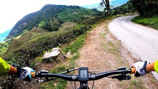 Cameron Highland - Gunung Brinchang