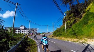 Cameron Highland - CNY Fun Ride