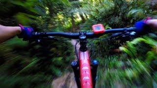Bukit Kiara - Morning Ride - The Return of Nomad