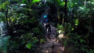 Bukit Kiara - New Year Ride 2019