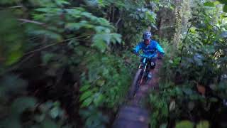 Bukit Kiara - Magic Carpet