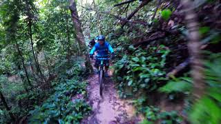 Bukit Kiara - Wasteland