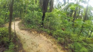 PCP - Trail 5 Vlog