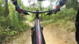 PCP Easy Trail Fun Ride