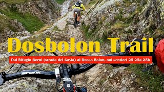 Dosbolon Trail - Dal Gavia verso Santa...