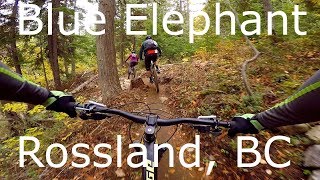 Blue Elephant - Rossland, BC