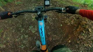 Raw-dog (Colby's Carpet Bomber) - Evansburg...