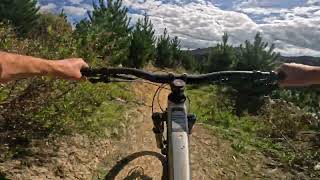 Shark Fin Soup @ FourForty MTB Park.