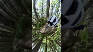 As if riding THROUGH a TREE was crazy enough!!...