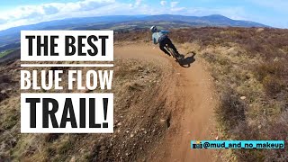 Over 1km of the best blue flow trails!...