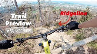 Freeridespot in Bern + Dummer Crash | Vlog |...