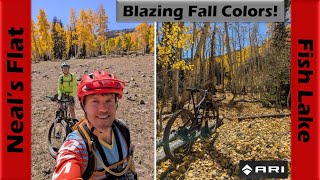 Aspens in glorious fall color on the Neal's...