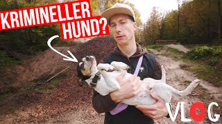Der „Reshape, Real Talk & Recreation“...