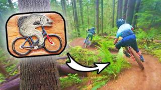 This New Trail is like a Fish Riding a Bike