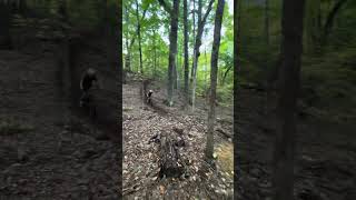 Huge Send on Our Newest Trail Tech Savvy #mtb...